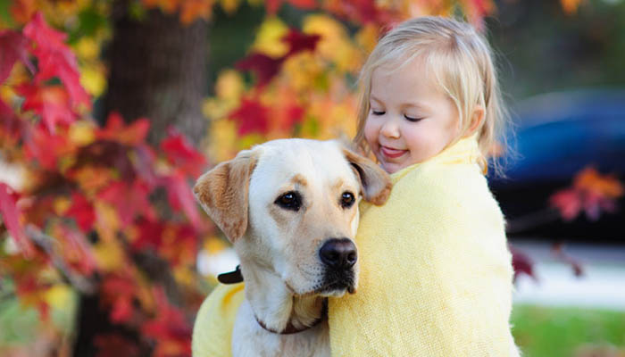 Pet não é brinquedo: dicas para uma posse responsável