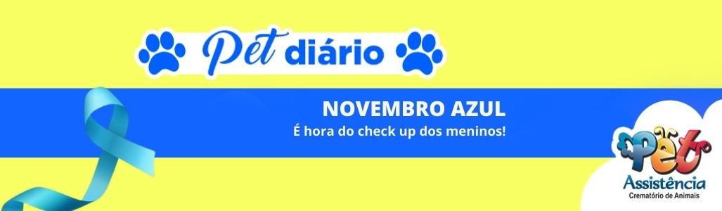 Novembro Azul: É hora do check up nos meninos!