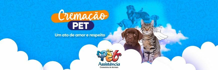 Cremação pet: um ator de amor e respeito