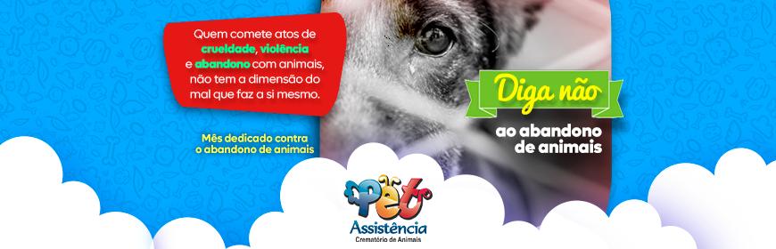 Dezembro verde faz alerta contra o abandono de animais