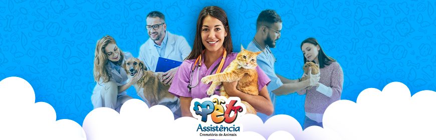 Castração de cães e gatos