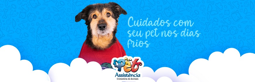 Cuidados com os pets nos dias frios