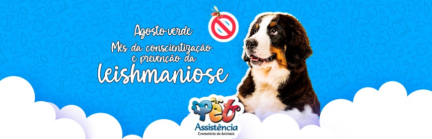 Agosto verde: mês da conscientização e prevenção da leishmaniose em animais