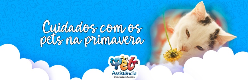 Cuidados com os pets na primavera