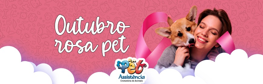 Outubro rosa: entenda o câncer de mama em pets